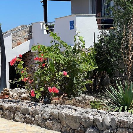 Holiday House Rusticana Sali, Dugi Otok Near Np Kornati Eksteriør bilde