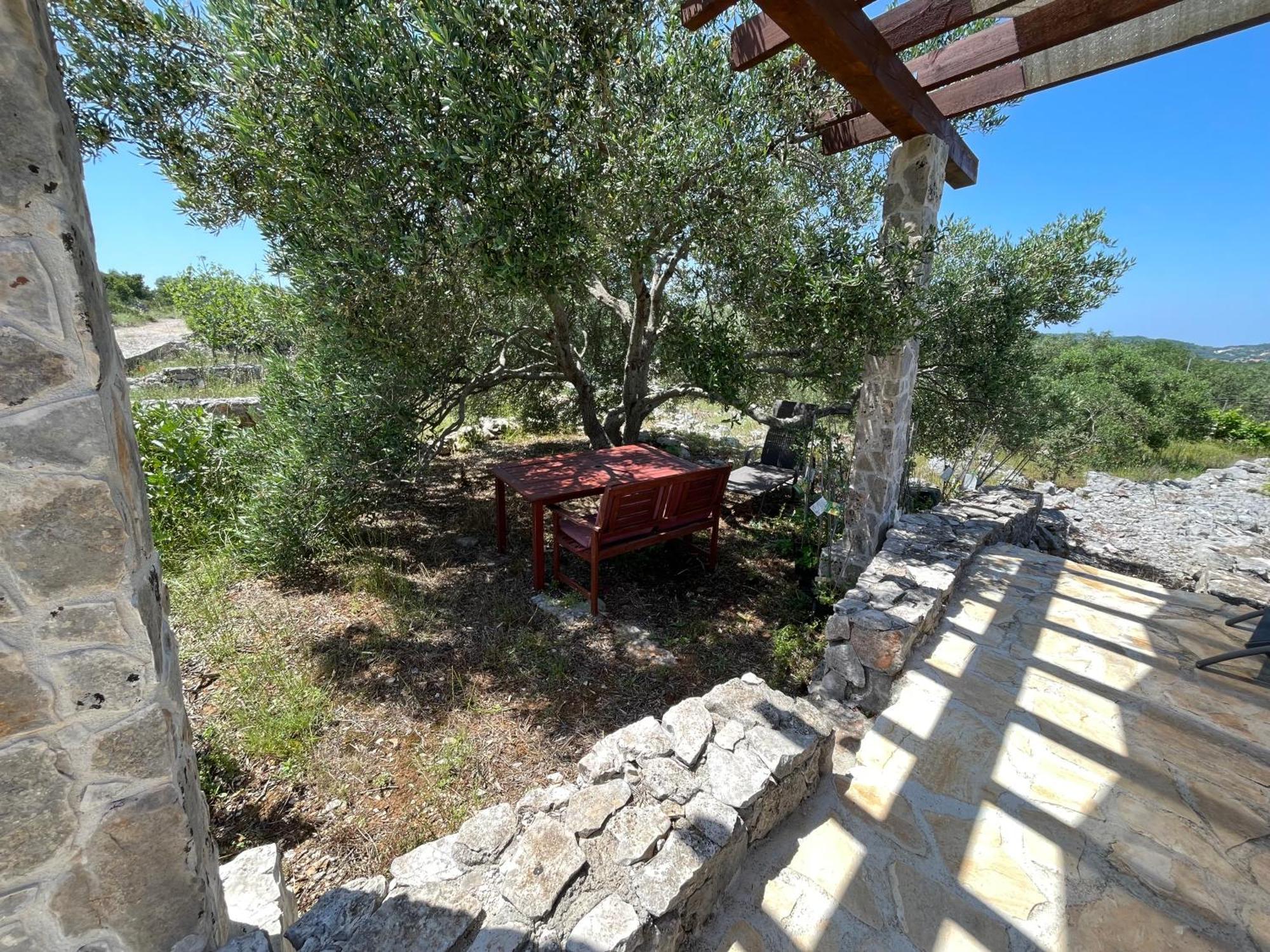 Holiday House Rusticana Sali, Dugi Otok Near Np Kornati Eksteriør bilde